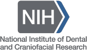 National Institute of Dental and Cranofacial Research